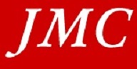 Joint Mathematical Council of the United Kingdom